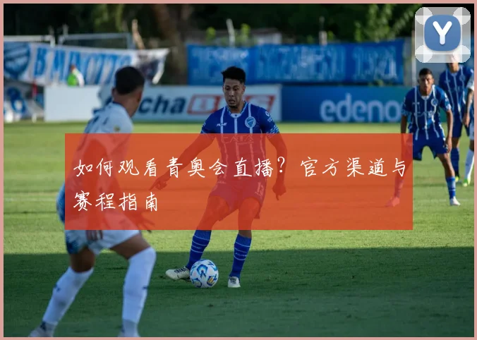 如何观看青奥会直播？官方渠道与赛程指南